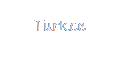 Turkce